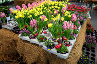 Auto-, Garten & Freizeitmesse Salzburg