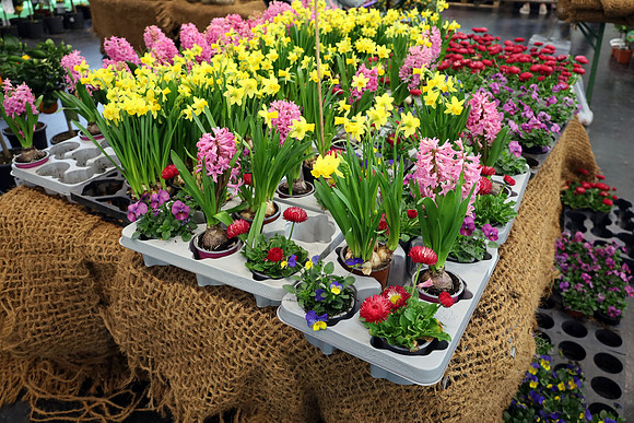 Auto-, Garten & Freizeitmesse Salzburg