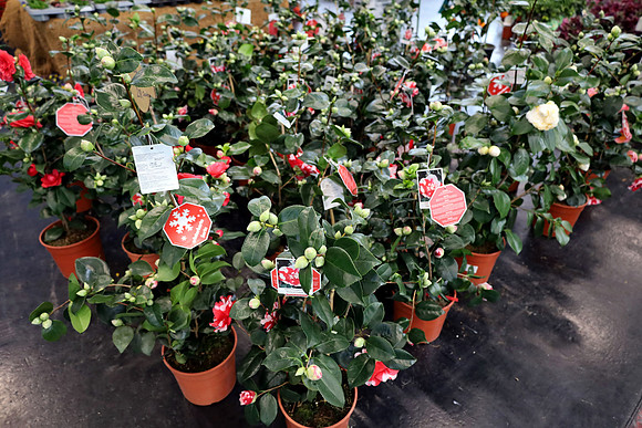 Auto-, Garten & Freizeitmesse Salzburg
