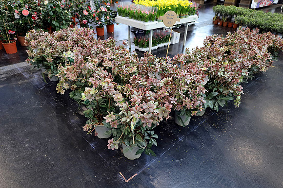 Auto-, Garten & Freizeitmesse Salzburg