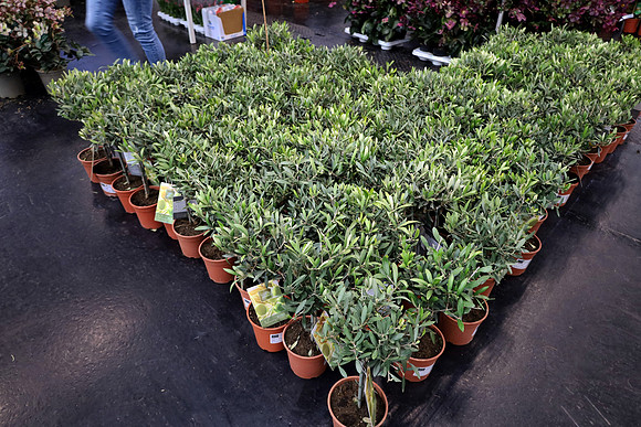 Auto-, Garten & Freizeitmesse Salzburg