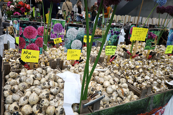 Auto-, Garten & Freizeitmesse Salzburg