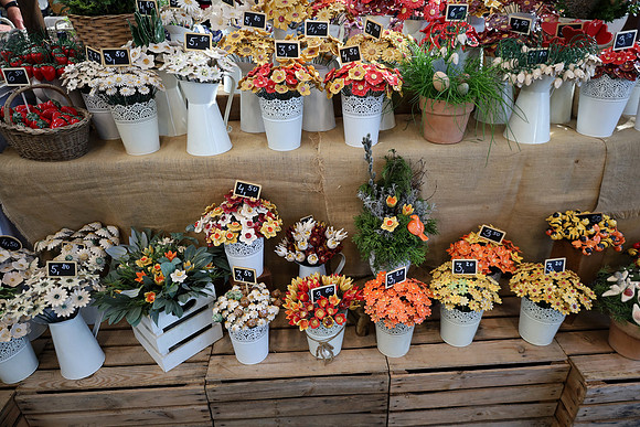Auto-, Garten & Freizeitmesse Salzburg