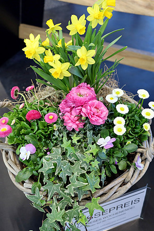 Auto-, Garten & Freizeitmesse Salzburg