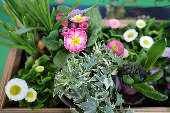 Auto-, Garten & Freizeitmesse Salzburg