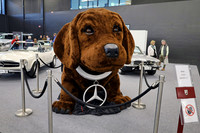 Auto-, Garten & Freizeitmesse Salzburg