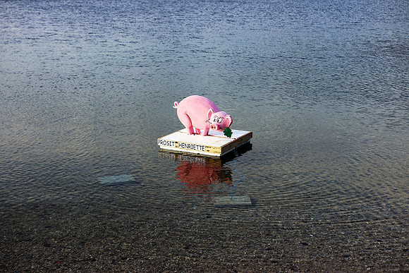 Silvesterschwimmen am Fuschlsee