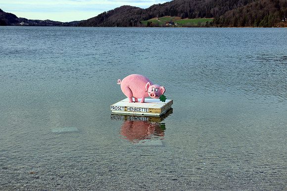 Silvesterschwimmen am Fuschlsee
