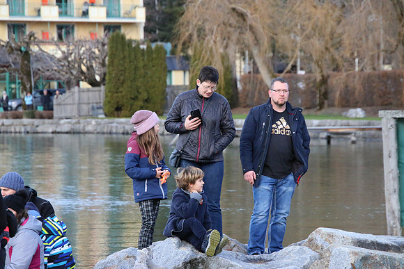 Silvesterschwimmen am Fuschlsee