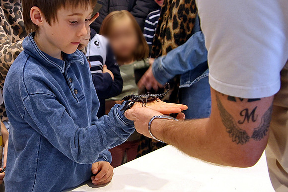 Insektopia Wanderausstellung