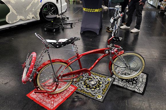 Custommized 2026