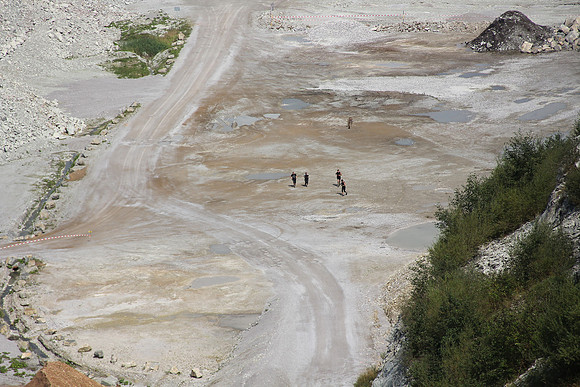 Wildsau Dirt Run