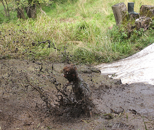 Wildsau Dirt Run