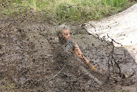 Wildsau Dirt Run