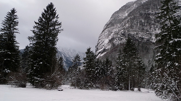 Adventspaziergang 2013