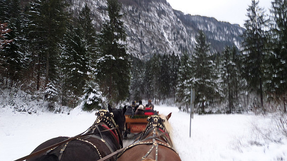 Adventspaziergang 2013