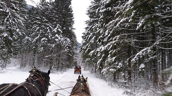 Adventspaziergang 2013