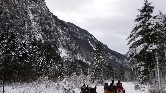 Adventspaziergang 2013