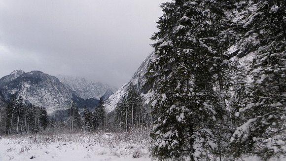 Adventspaziergang 2013