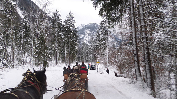 Adventspaziergang 2013