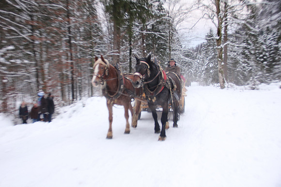 Adventspaziergang 2013