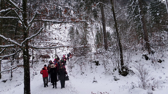 Adventspaziergang 2013