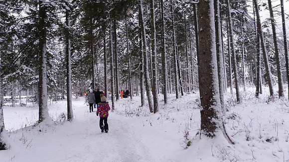 Adventspaziergang 2013