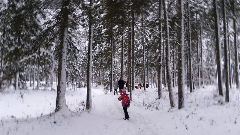 Adventspaziergang 2013