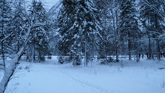 Adventspaziergang 2013