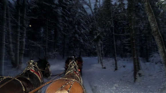 Adventspaziergang 2013