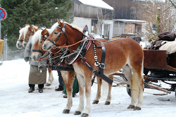 Adventspaziergang 2012