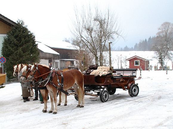 Adventspaziergang 2012