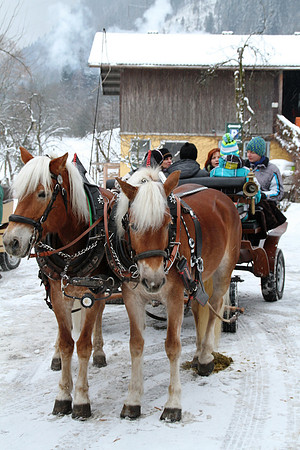 Adventspaziergang 2012