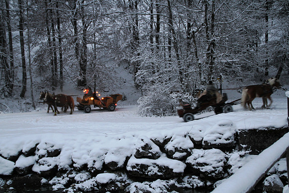 Adventspaziergang 2012