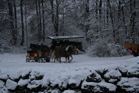 Adventspaziergang 2012