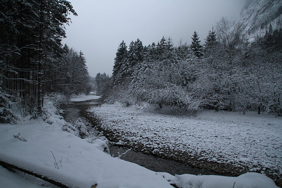 Adventspaziergang 2012