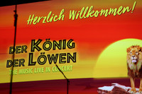 König der Löwen