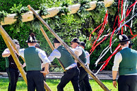 Maibaumaufstellen