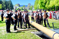 Maibaumaufstellen