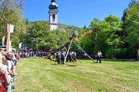 Maibaumaufstellen