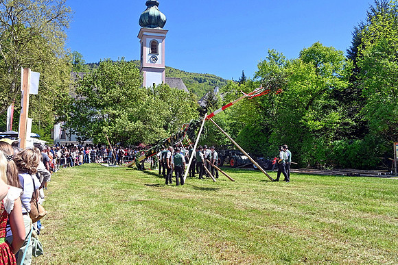 Maibaumaufstellen