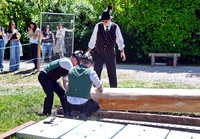 Maibaumaufstellen