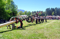 Maibaumaufstellen