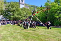 Maibaumaufstellen