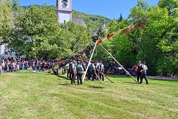 Maibaumaufstellen