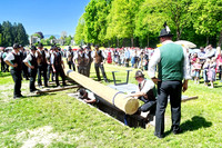 Maibaumaufstellen