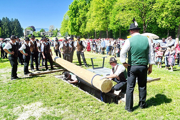 Maibaumaufstellen