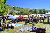 Maibaumaufstellen
