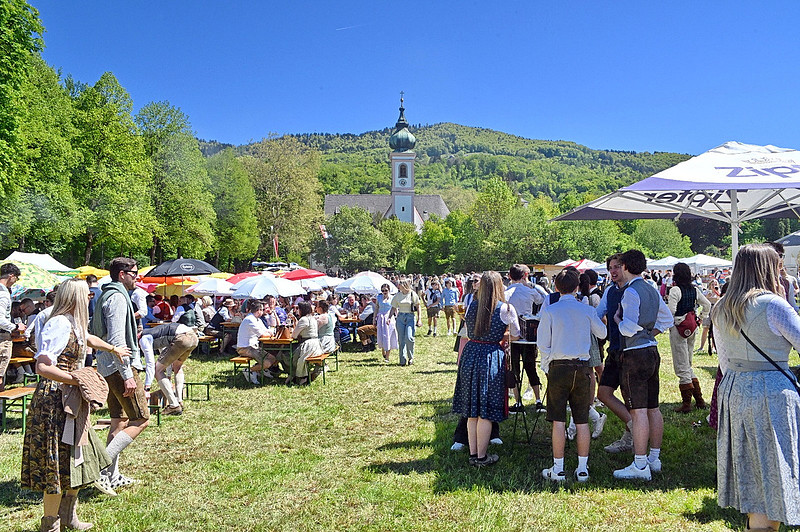 Maibaumaufstellen
