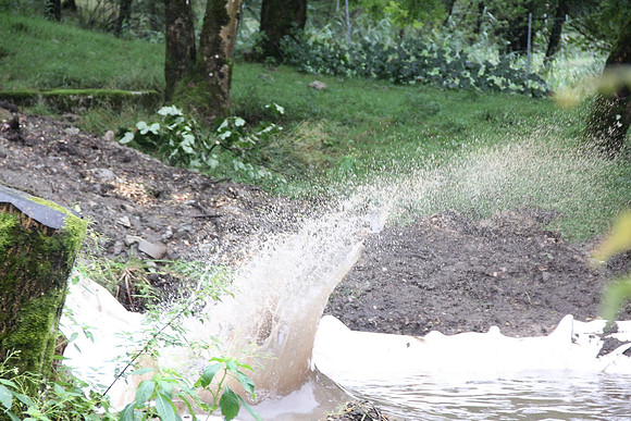 Wildsau Dirt Run 2015